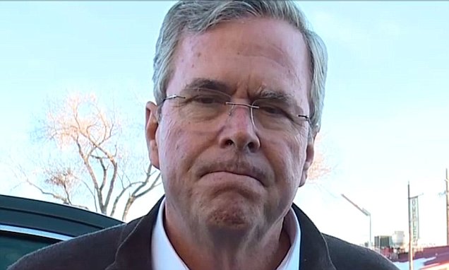 Jeb Bush