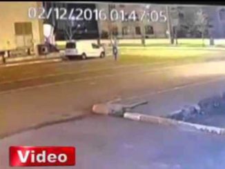 Security cameras in Turkey capture an inexplicable creature on the road