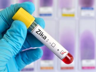 zika virus