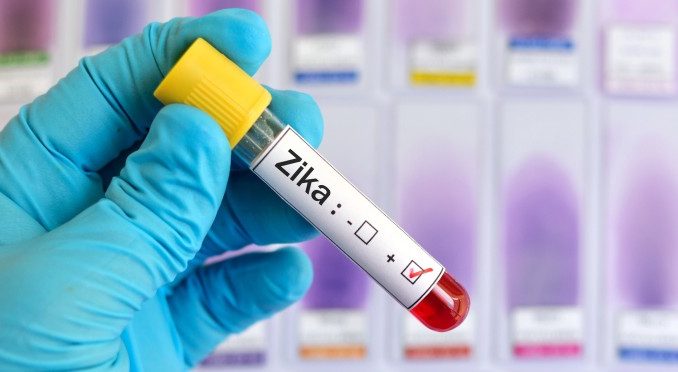 zika virus