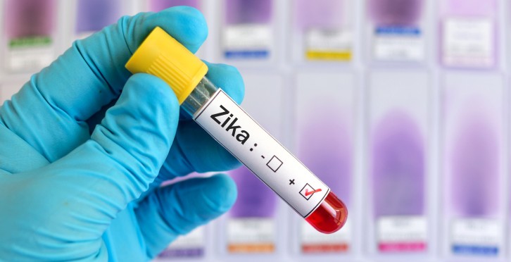 zika virus