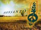 Monsanto is being sued by three Northern California towns