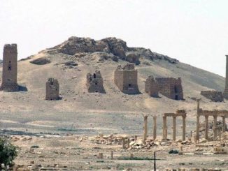 palmyra
