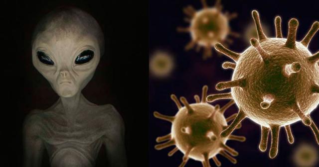 Alien DNA discovered in human genome