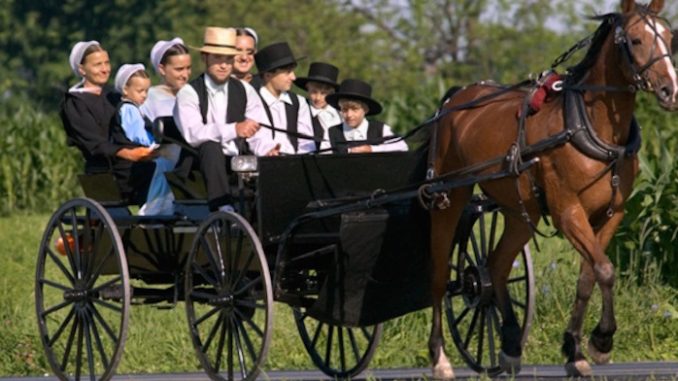 Why don't Amish people get cancer?