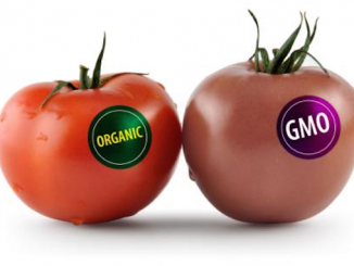 Monsanto fail to impliment GMO Dark Act in the U.S. senate