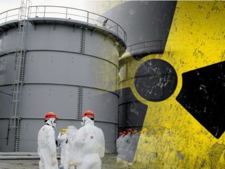 'No End In Sight' For Mutations & DNA Damage Caused By Fukushima