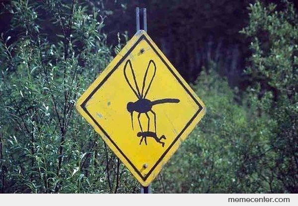 Does the London Underground house a subspecies of mosquito?