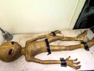 Scientists reveal aliens may exist in other solar systems