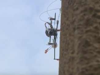 SCAMP Insect robot