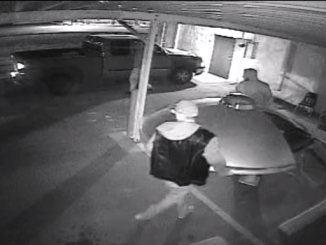 thieves have stolen a UFO statue from a Roswell, New Mexico museum