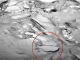 Alien Hunter Spots 'Fish' On Mars