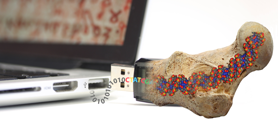 DNA data storage could last thousands of years