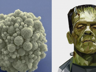 Synthetic Life Created In Lab To Understand Nature of Life