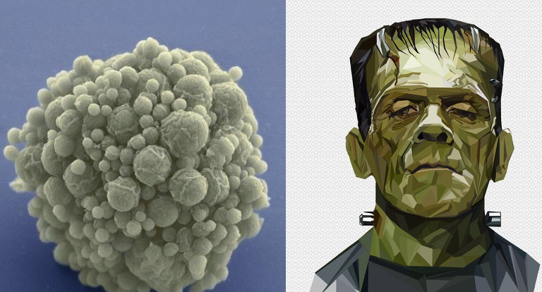 Synthetic Life Created In Lab To Understand Nature of Life