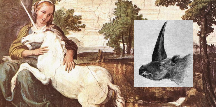 Extinct 'Siberian unicorn' may have lived alongside humans, fossil suggests