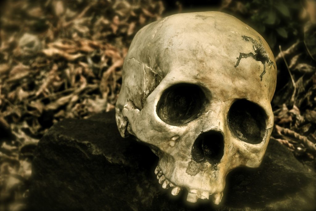 Shakespeare's skull stolen from grave