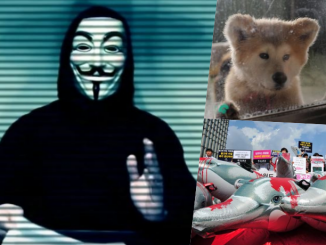 Data Of Japanese Zoo Leaked By Anonymous To Protest Animal Abuse