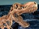 Scientists discover dinosaur fossil proving evolution