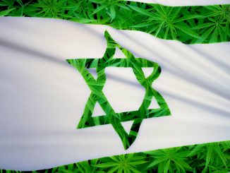 U.S. firms target investment in Israeli cannabis R&D