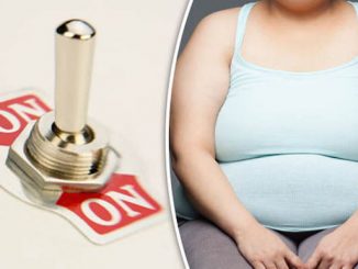 Scientists discover obesity 'off switch' in the brain