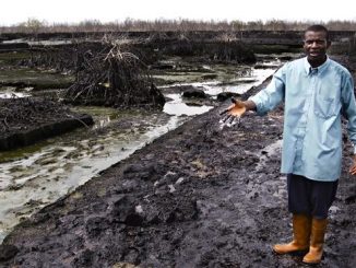 Communities Sue Shell Over Chronic Oil Pollution in Nigeria