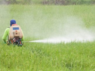 Organic Californian wine found contaminated with Monsanto's Glyphosate