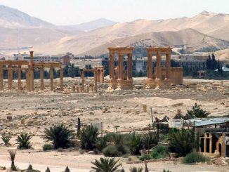 palmyra