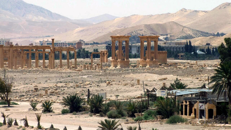 palmyra