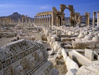 palmyra
