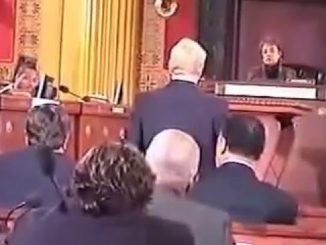 Computer programmer testifies he was hired to rig US elections