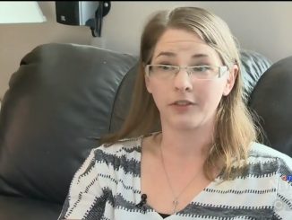 Mother Investigated For Letting Her Children Play In Backyard