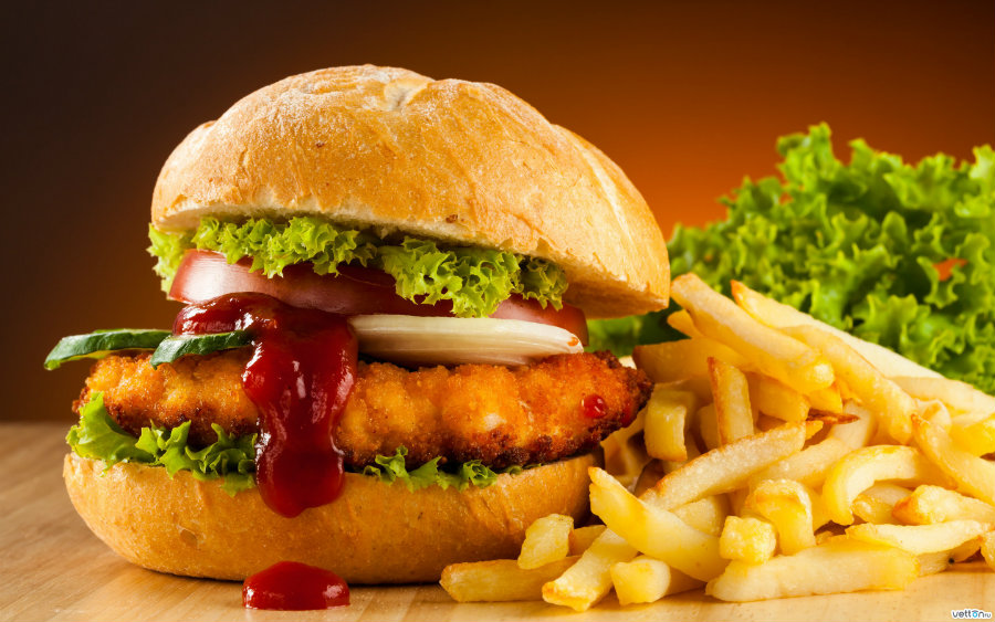 Fast Food Contains Alarming Amounts Of Hormone-Disrupting Chemicals