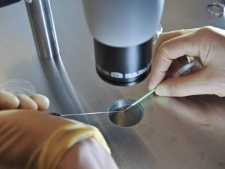 Scientists In Japan Given Approval To Modify Fertilized Human Eggs