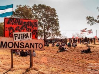 Monsanto taking Argentinian government to court over GM seed row