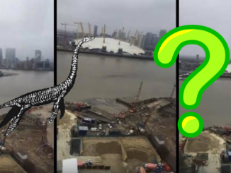 Mysterious creature filmed in the river Thames in London, UK