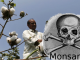 Monsanto