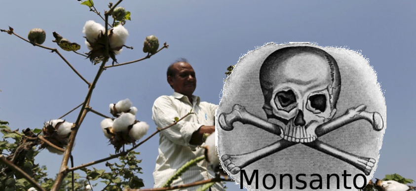 Monsanto