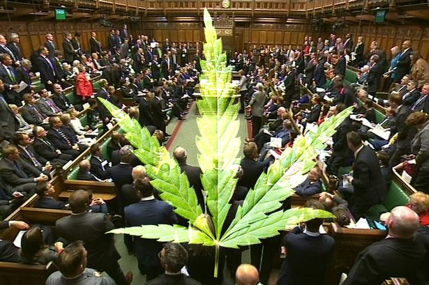 A Million People Forced To Break The Law In UK To Stay Healthy