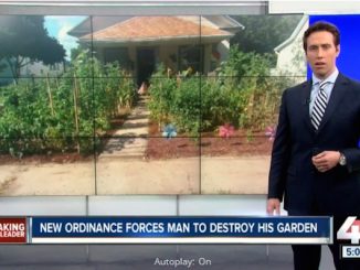 American family ordered to destroy vegetable patch in their garden, as city outlaws growing of vegetables