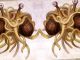 Flying Spaghetti Monster