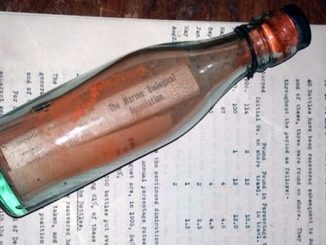 message in a bottle