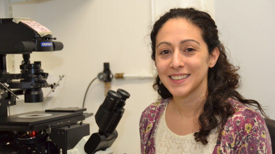 British scientists is able to successfully genetically modify an embryo