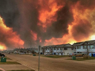 WILDFIRE