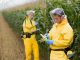 Cancer-causing Mosanto's Glyphosate Herbicide Found in Urine of 93% of Americans