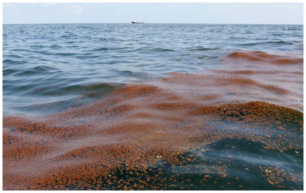 Shell Oil Spill Dumps Nearly 90,000 Gallons Of Crude In Gulf Of Mexico