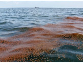 Shell Oil Spill Dumps Nearly 90,000 Gallons Of Crude In Gulf Of Mexico