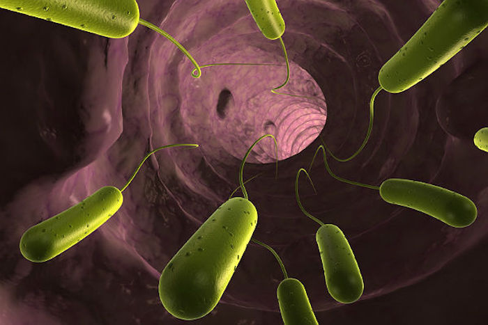 Deadly superbug hits U.S.