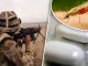 British Soldiers To Sue MoD Over Controversial Anti-Malarial Drug