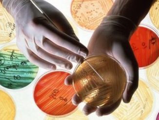 Scientists turn to holistic medicine as antibiotic resistance continues to rise